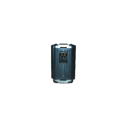 Castone CWS-303 2 utas, falra is szerelhető 2,5-40W (fekete)