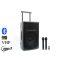 Thunder FLR-12 (12″) 600W akkumulátoros hordozható hangfal (2xMik + MP3 + Bluetooth + FM)