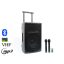 Thunder FLR-12 (12″) 600W akkumulátoros hordozható hangfal (2xMik + MP3 + Bluetooth + FM)