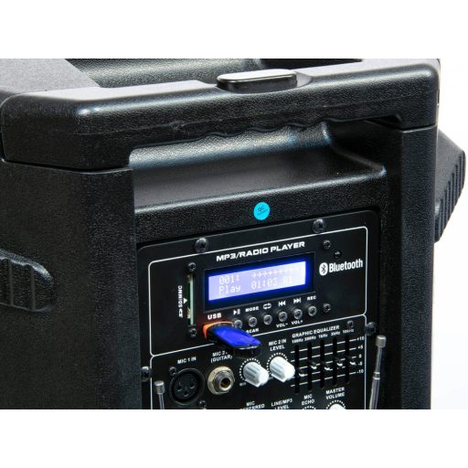 Thunder FLR-15 (38cm) 800W akkumulátoros hordozható hangfal (2xMik + MP3 + Bluetooth + FM)