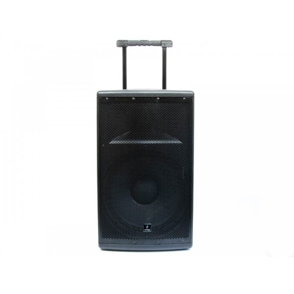 Thunder FLR-15 (38cm) 800W akkumulátoros hordozható hangfal (2xMik + MP3 + Bluetooth + FM)