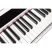 ORLA PF100 digitális pianínó (fehér)