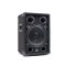 ReVoLuTioN PARTY-10 passzív hangfal 250/500W (10″)